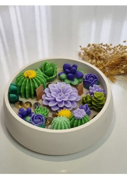 Kase Kaktüs Mum indirimleri