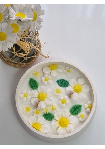 Papatya Kase Mum fiyatları