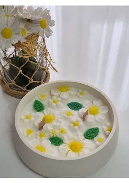 Papatya Kase Mum modelleri