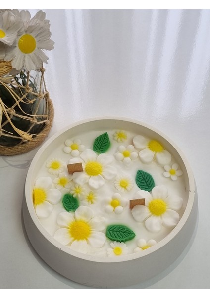 Papatya Kase Mum indirimleri