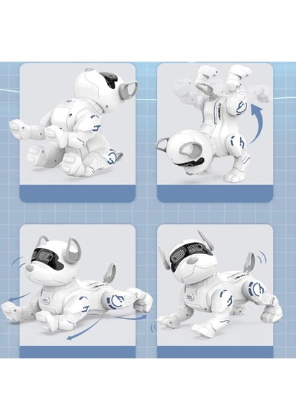 Uzaktan Kumandalı Akrobat Köpek Akıllı Interaktif Öğretici Oyuncak Şarjlı Robot modelleri