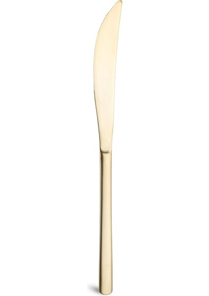 2900 Vannes Mat Şampanya 42 Parça 6 Kişilik Yemek Çatal Kaşık Bıçak Takımı indirimleri