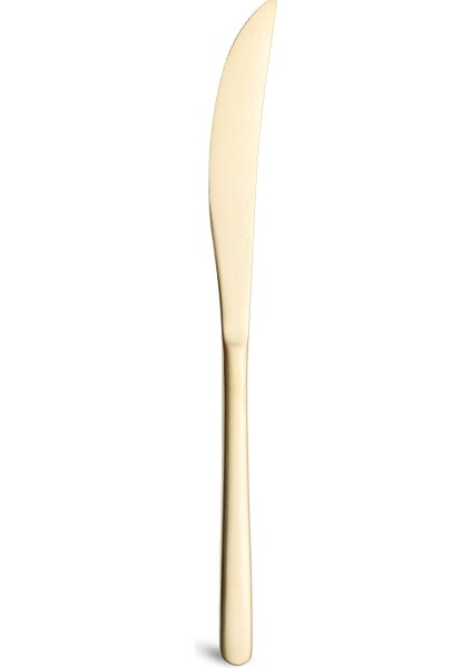 2900 Vannes Mat Şampanya 42 Parça 6 Kişilik Yemek Çatal Kaşık Bıçak Takımı