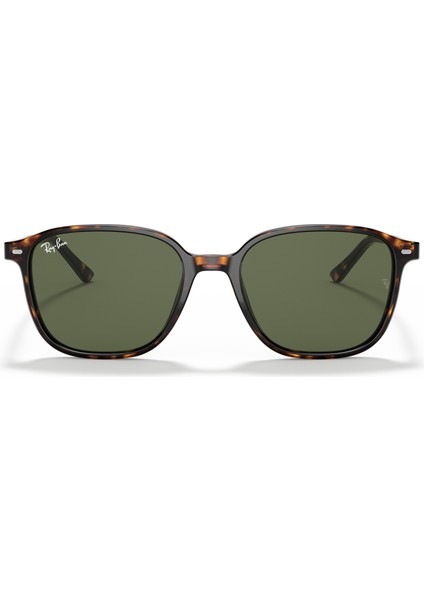 RB2193 902/31 53 Güneş Gözlüğü