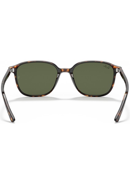 RB2193 902/31 53 Güneş Gözlüğü