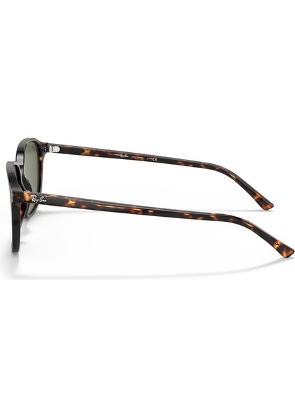 RB2193 902/31 53 Güneş Gözlüğü