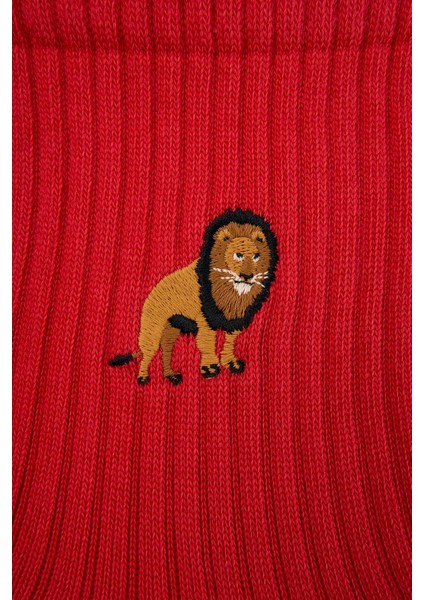 Aslan Havlu Çorap - Kırmızı modelleri