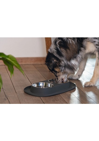Mtxdpn Beeztees Köpek Ikili Mama ve Su Kabı, Paslanmaz Çelik, 40X24CM, 2X500ML modelleri