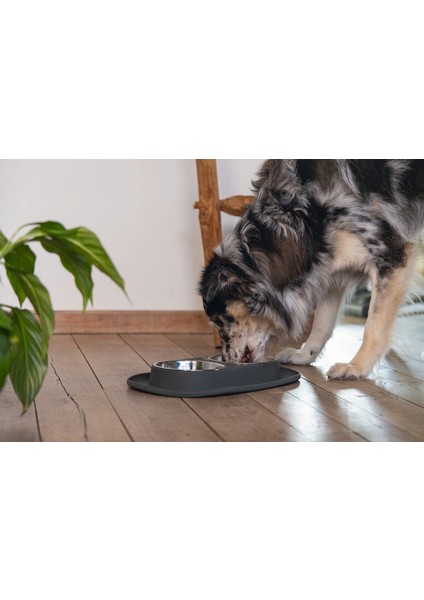 Mtxdpn Beeztees Köpek Ikili Mama ve Su Kabı, Paslanmaz Çelik, 40X24CM, 2X500ML indirimleri