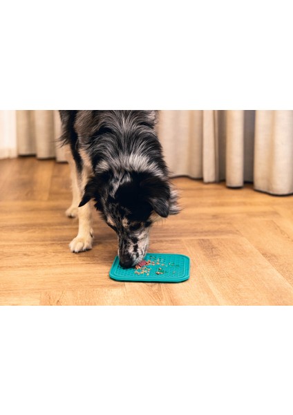 Mtxdpn Beeztees Yavru Köpek Yaş Mama Yeme Oyuncağı, Kare Şeklinde, Silikon, Yeşil, 20X20CM fiyatları