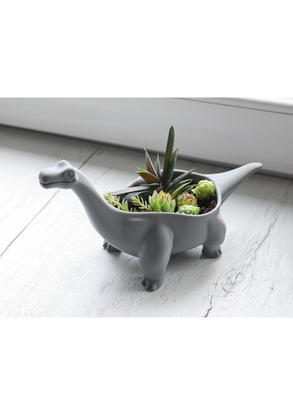 Uzun Boyunlu Dinozor Şeklinde Dekoratif Saksı – Modern Masaüstü ve Ev Dekoru modelleri