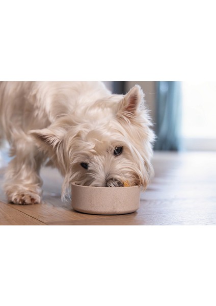 Mtxdpn Beeztees Dbl Köpek Mama Su Kabı, Bambu, Bej, 12CM, 300ML fiyatları