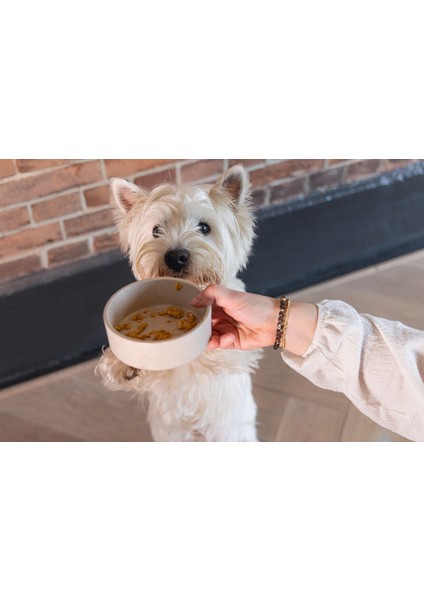 Mtxdpn Beeztees Dbl Köpek Mama Su Kabı, Bambu, Bej, 12CM, 300ML fırsatları