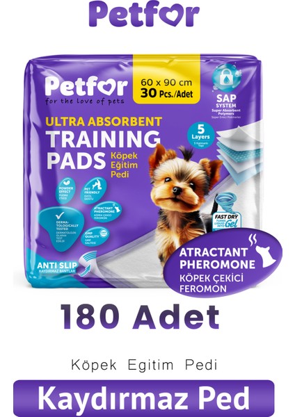 Köpek Eğitim Pedi 60X90 180 Adet Kaydırmaz Bantlı