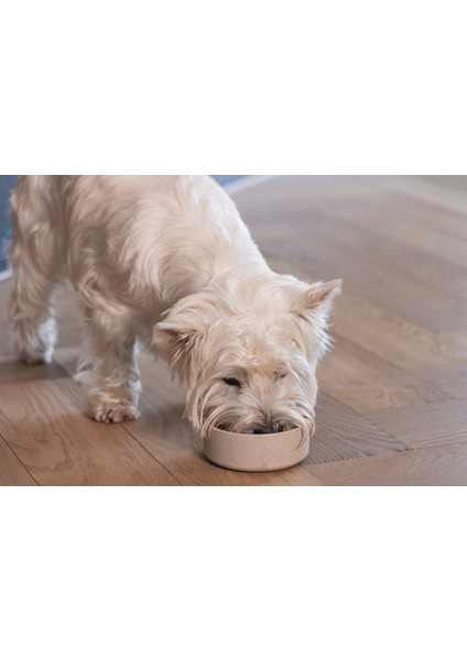 Mtxdpn Beeztees Dbl Köpek Mama Su Kabı, Bambu, Bej, 12CM, 300ML indirimleri