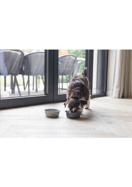 Mtxdpn Beeztees Dbl Köpek Mama Su Kabı, Mat Gri Paslanmaz Çelik, 16CM, 940ML modelleri
