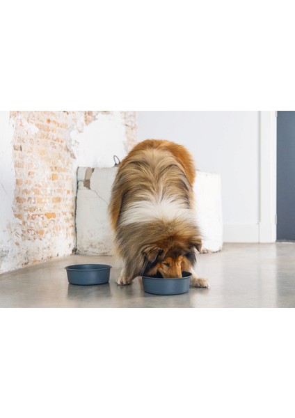 Mtxdpn Beeztees Dbl Köpek Mama Su Kabı, Mat Siyah Paslanmaz Çelik, 20CM, 1,9l fırsatları