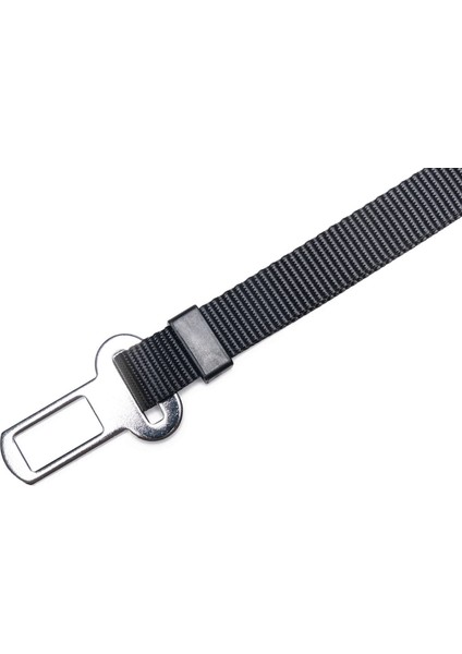 Mtxdpn Beeztees Köpek Emniyet Kemeri, Siyah, S, 55X1,5CM modelleri