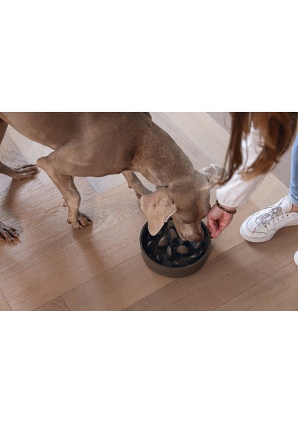 Mtxdpn Beeztees Dbl Köpek Yavaş Besleme Mama Kabı, Bambu, Antrasit, 21CM, 1430ML fırsatları