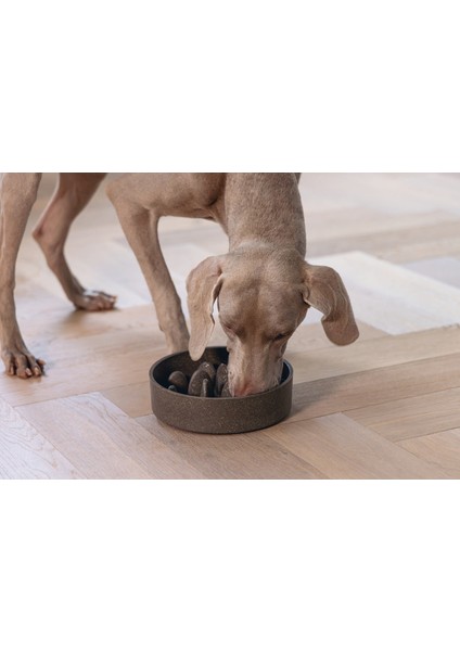 Mtxdpn Beeztees Dbl Köpek Yavaş Besleme Mama Kabı, Bambu, Antrasit, 21CM, 1430ML indirimleri