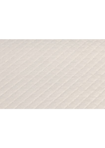 Mtxdpn Beeztees Yavru Köpek Çiş Eğitim Pedi, S, 20ADET, 60X40CM fırsatları