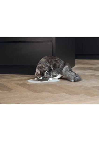 Mtxdpn Beeztees Dbl Mama Su Kabı Servisi, Silikon, Kaymaz, Bej, 45X25X1,5CM fiyatları