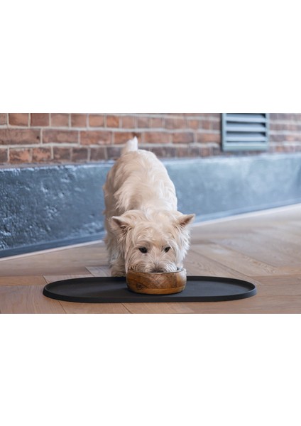 Mtxdpn Beeztees Dbl Mama Su Kabı Servisi, Silikon, Kaymaz, Antrasit, 45X25X1,5CM indirimleri