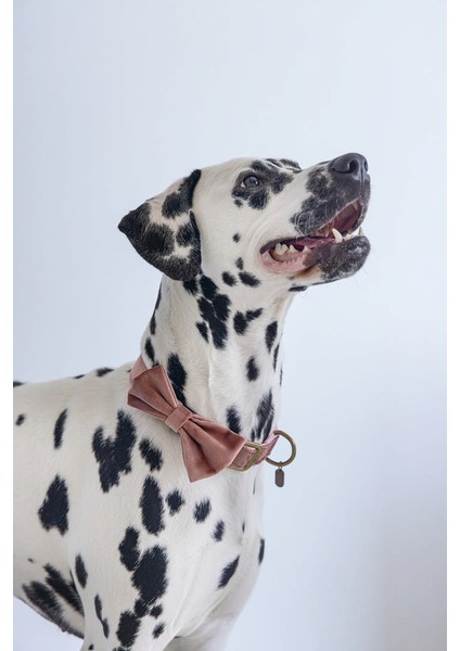 Mtxdpn Beeztees Dbl Köpek Papyonu, Kadife, Pembe, 12CM fiyatları