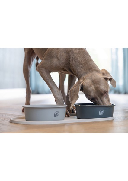 Mtxdpn Beeztees Dbl Mama Su Kabı Servisi, Silikon, Kaymaz, Bej, 55X30X1,7CM fiyatları