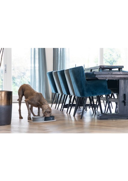 Mtxdpn Beeztees Dbl Mama Su Kabı Servisi, Silikon, Kaymaz, Bej, 55X30X1,7CM modelleri