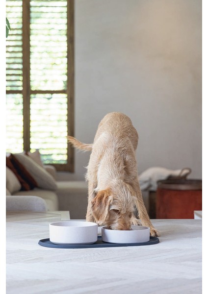 Mtxdpn Beeztees Dbl Mama Su Kabı Servisi, Silikon, Kaymaz, Antrasit, 55X30X1,7CM fiyatları