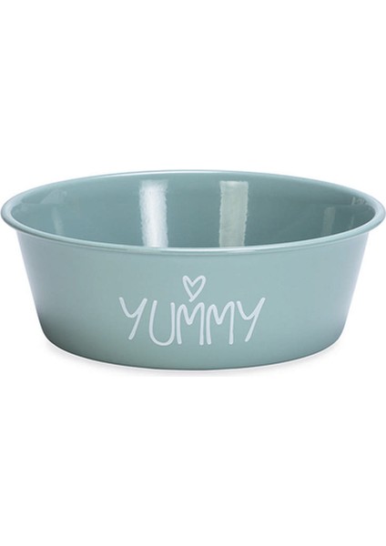 Mtxdpn Beeztees Yavru Köpek Mama Su Kabı, Paslanmaz Çelik, Kaymaz Taban, Turkuaz, 13CM, 470ML