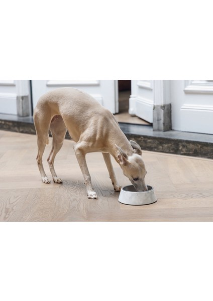 Mtxdpn Beeztees Dbl Köpek Mama Su Kabı, Mat Paslanmaz Çelik, Beyaz Mermer Görünümlü, 17,5cm, 350ML fiyatları