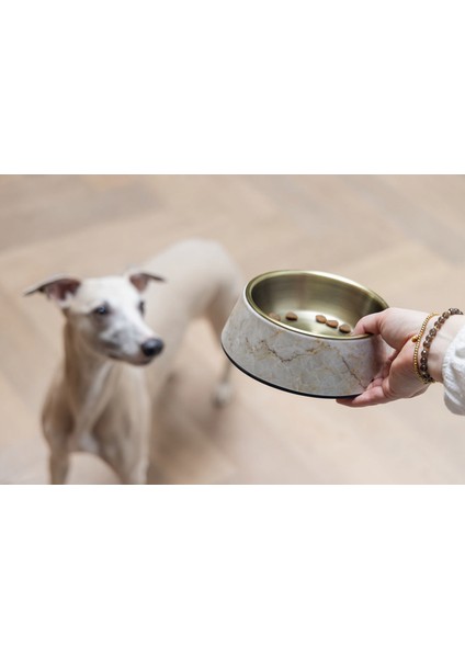 Mtxdpn Beeztees Dbl Köpek Mama Su Kabı, Mat Altın Rengi Paslanmaz Çelik, Bej Mermer Görünümlü, 17,5cm, 350M fiyatları