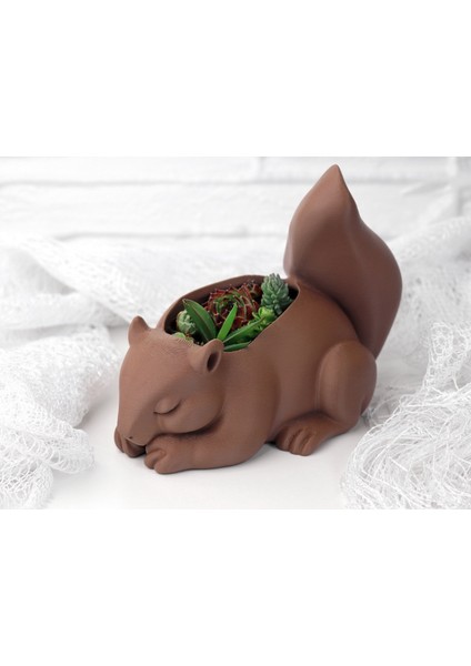 Sincap Şeklinde Dekoratif Saksı – Masaüstü ve Ev Dekoru