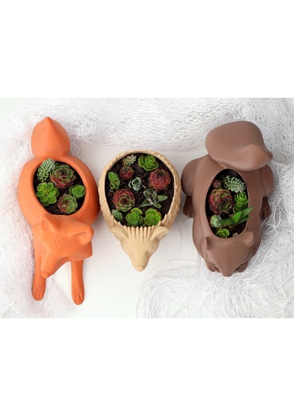 Sincap Şeklinde Dekoratif Saksı – Masaüstü ve Ev Dekoru fırsatları