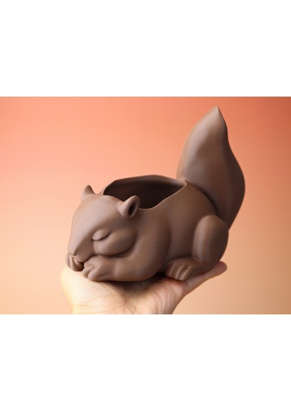 Sincap Şeklinde Dekoratif Saksı – Masaüstü ve Ev Dekoru