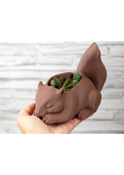 Sincap Şeklinde Dekoratif Saksı – Masaüstü ve Ev Dekoru