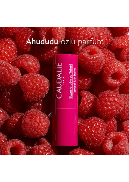Tinted Lip Balm 4.5 gr