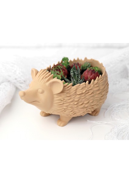 Kirpi Şeklinde Dekoratif Saksı – Masaüstü ve Ev Dekoru