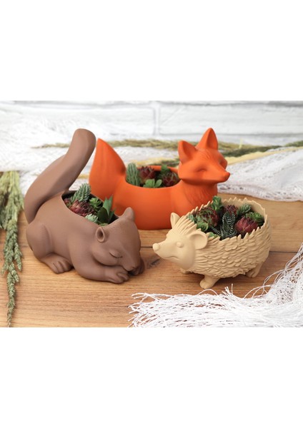 Kirpi Şeklinde Dekoratif Saksı – Masaüstü ve Ev Dekoru fiyatları