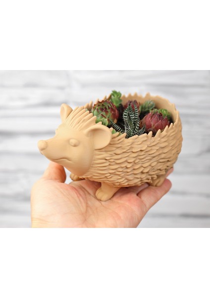 Kirpi Şeklinde Dekoratif Saksı – Masaüstü ve Ev Dekoru modelleri