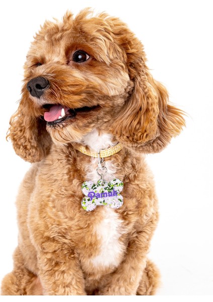 NFC Pet Künyesi: Tek Dokunuşta Dijital Profil + Anında Konum Bildirimi. Şarj ve uygulama gerektirmez; ömürlük kimlik + kaybolma anında en hızlı çözüm. Model: 5 cm Flora