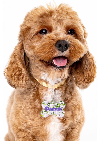 NFC Pet Künyesi: Tek Dokunuşta Dijital Profil + Anında Konum Bildirimi. Şarj ve uygulama gerektirmez; ömürlük kimlik + kaybolma anında en hızlı çözüm. Model: 5 cm Flora fiyatları