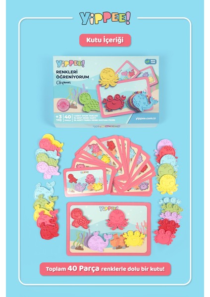 Renkleri Öğreniyorum - Okyanus Canlıları Serisi | Renk Eşleştirmeli Eğitici Oyun Seti (40 Parça)