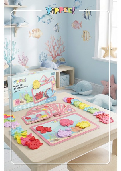 Renkleri Öğreniyorum - Okyanus Canlıları Serisi | Renk Eşleştirmeli Eğitici Oyun Seti (40 Parça)