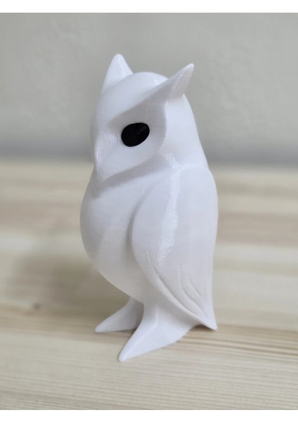 Dekoratif Baykuş modelleri