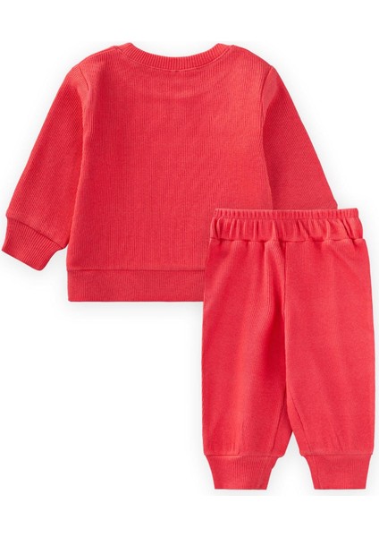 Be Cool Nakışlı Sweatshirt Takım 0-5 Yaş Mercan fiyatları