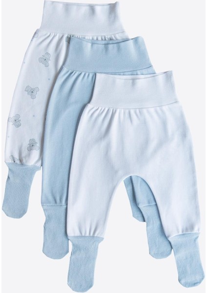 Organik Cute Koala 3'lü Çoraptolon Mavi