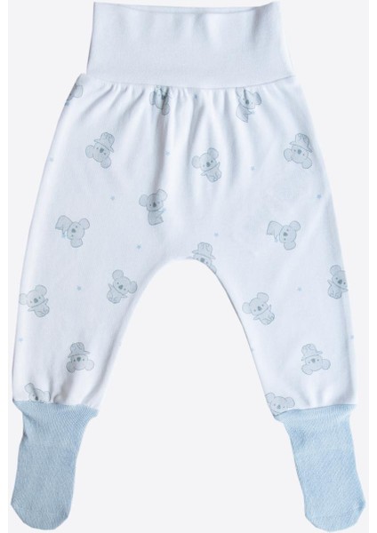 Organik Cute Koala 3'lü Çoraptolon Mavi modelleri